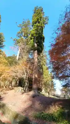 妙義神社(群馬県)