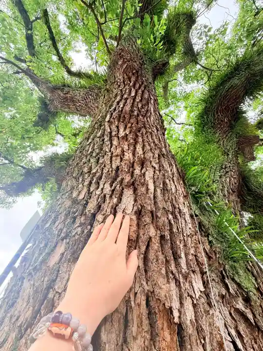 稲爪神社の{uncategorized: "未分類", other: "その他", undefined: "問題あり", building: "その他建物", grave: "お墓", sacred_gate: "鳥居", guardian: "狛犬", statue: "像", buddha: "仏像", history: "歴史", nature: "自然", garden: "庭園", animal: "動物", pagoda: "塔", temizu: "手水舎", mountain_gate: "山門・神門", sanctuary: "本殿・本堂", subordinate: "末社・摂社", art: "芸術", scenery: "景色", jizo: "地蔵", ema: "絵馬", goshuin: "御朱印", omikuji: "おみくじ", items: "授与品その他", amulet: "お守り", goshuincho: "御朱印帳", eats: "食事", festival: "お祭り", votive_dance: "神楽", shichigosan: "七五三参", wedding: "結婚式", experience: "体験その他", initially: "初詣", around: "周辺", anti_infection: "感染症対策"}