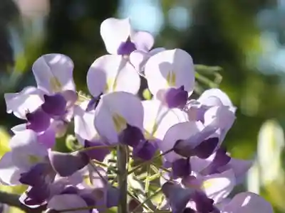 三大神社のその他建物
