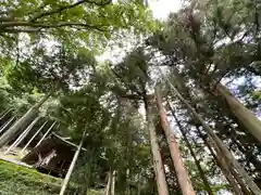 子檀嶺神社(長野県)