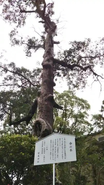 前島神社の自然