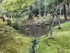 西芳寺(京都府)