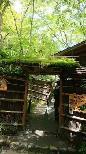 祇王寺の山門