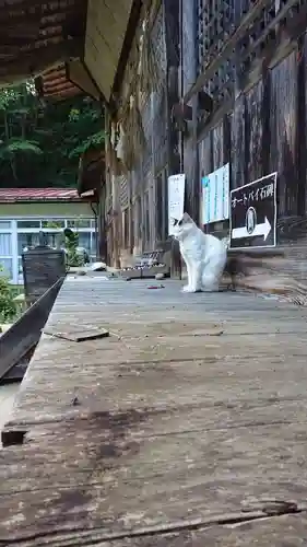 修那羅山安宮神社の動物