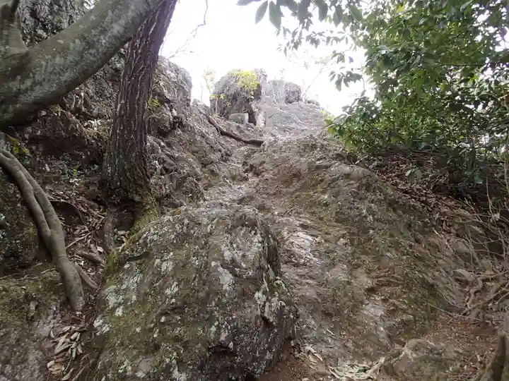 武蔵二宮 金鑚神社の自然