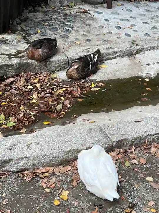 平塚八幡宮(神奈川県)