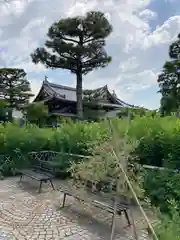 東光院の建物その他