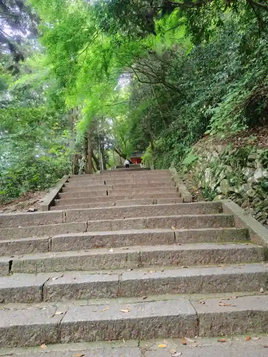 厳魂神社(金刀比羅宮奥社)の{uncategorized: "未分類", other: "その他", undefined: "問題あり", building: "その他建物", grave: "お墓", sacred_gate: "鳥居", guardian: "狛犬", statue: "像", buddha: "仏像", history: "歴史", nature: "自然", garden: "庭園", animal: "動物", pagoda: "塔", temizu: "手水舎", mountain_gate: "山門・神門", sanctuary: "本殿・本堂", subordinate: "末社・摂社", art: "芸術", scenery: "景色", jizo: "地蔵", ema: "絵馬", goshuin: "御朱印", omikuji: "おみくじ", items: "授与品その他", amulet: "お守り", goshuincho: "御朱印帳", eats: "食事", festival: "お祭り", votive_dance: "神楽", shichigosan: "七五三参", wedding: "結婚式", experience: "体験その他", initially: "初詣", around: "周辺", anti_infection: "感染症対策"}