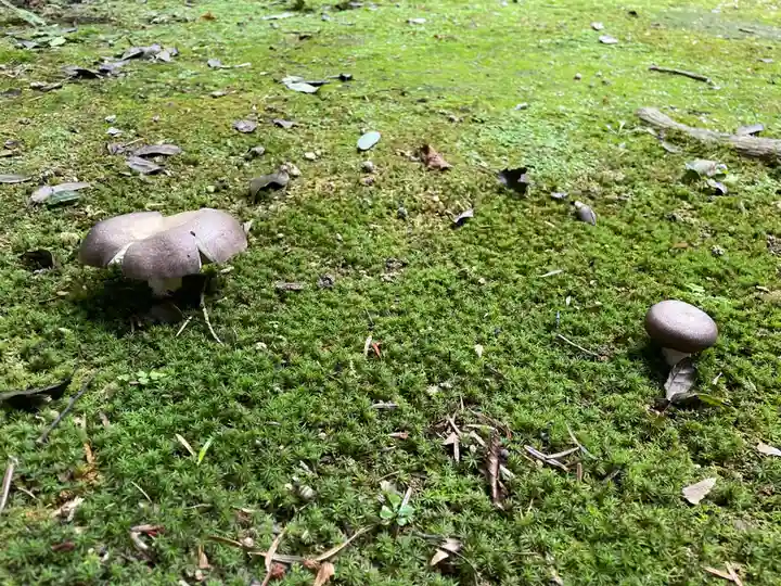 西山神社(京都府)