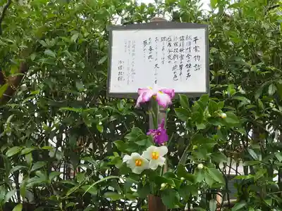 明月院(神奈川県)