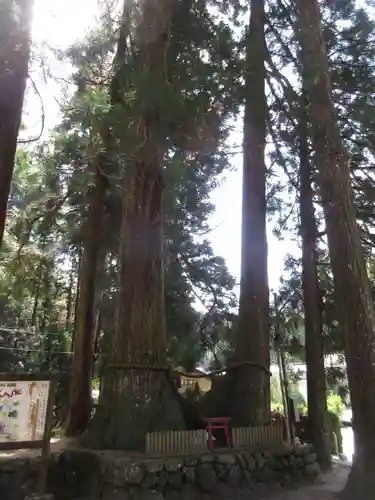 室生龍穴神社の末社