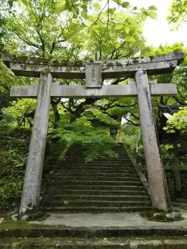 養父神社の鳥居