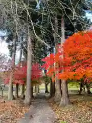 御嶽神社の自然