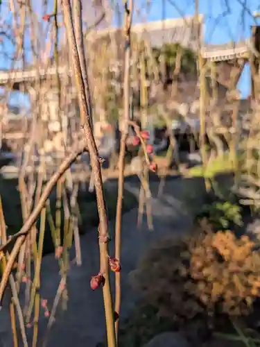 圓照寺(東京都)