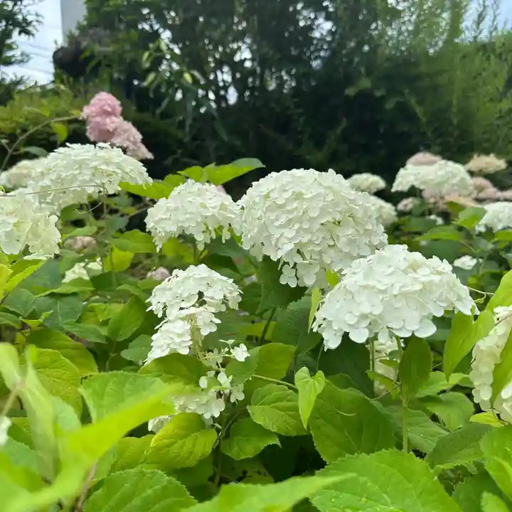 豊景神社(福島県)