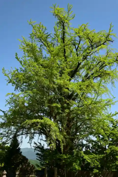 大窪寺(香川県)