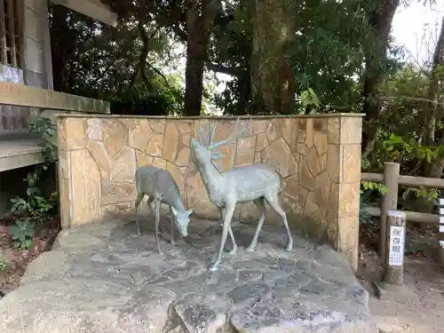 志賀海神社の狛犬