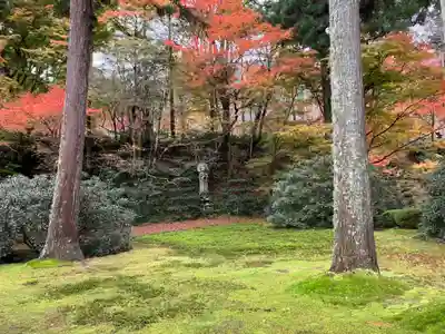 三千院門跡(京都府)