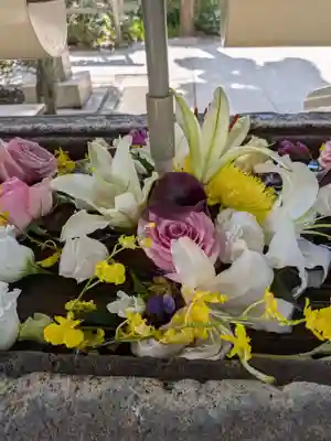 鳩森八幡神社(東京都)