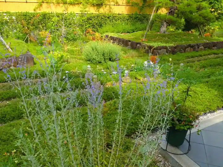 寿量山 速成寺の自然