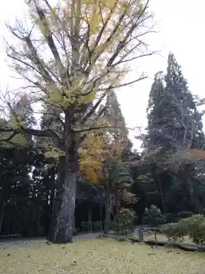 正眼寺(岐阜県)