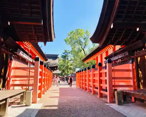 住吉大社(大阪府)