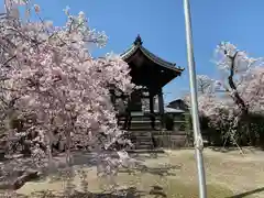 妙顯寺（妙顕寺）(京都府)