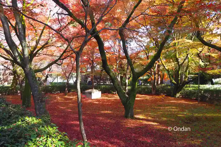 真正極楽寺(真如堂)の自然