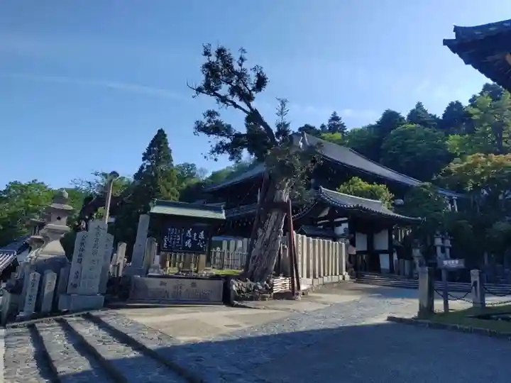 東大寺 二月堂(奈良県)