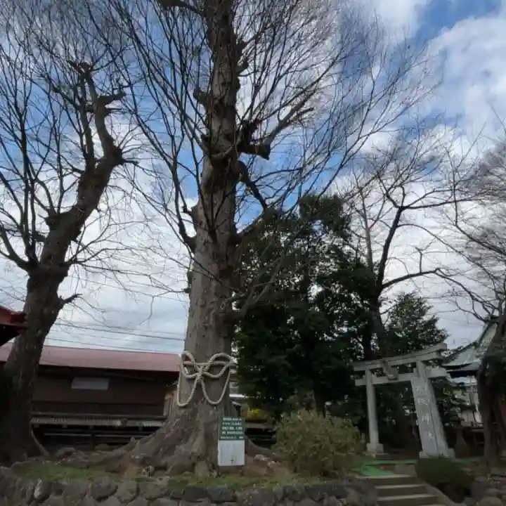 出雲大社相模分祠の{uncategorized: "未分類", other: "その他", undefined: "問題あり", building: "その他建物", grave: "お墓", sacred_gate: "鳥居", guardian: "狛犬", statue: "像", buddha: "仏像", history: "歴史", nature: "自然", garden: "庭園", animal: "動物", pagoda: "塔", temizu: "手水舎", mountain_gate: "山門・神門", sanctuary: "本殿・本堂", subordinate: "末社・摂社", art: "芸術", scenery: "景色", jizo: "地蔵", ema: "絵馬", goshuin: "御朱印", omikuji: "おみくじ", items: "授与品その他", amulet: "お守り", goshuincho: "御朱印帳", eats: "食事", festival: "お祭り", votive_dance: "神楽", shichigosan: "七五三参", wedding: "結婚式", experience: "体験その他", initially: "初詣", around: "周辺", anti_infection: "感染症対策"}