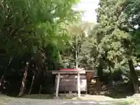 白山神社の本殿・本堂
