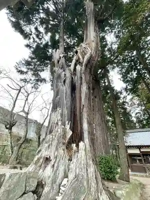 坂本神社(滋賀県)