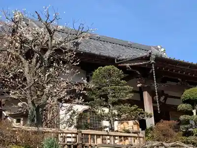光明寺の本殿・本堂