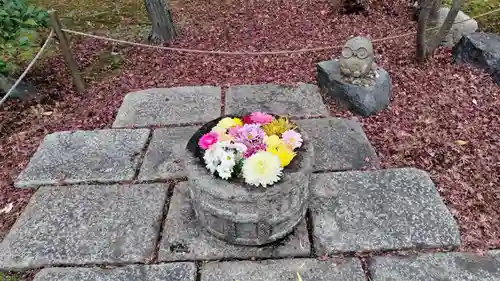 勝林寺(京都府)