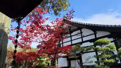 霊源院(京都府)