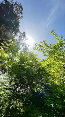 国宝 大法寺(長野県)