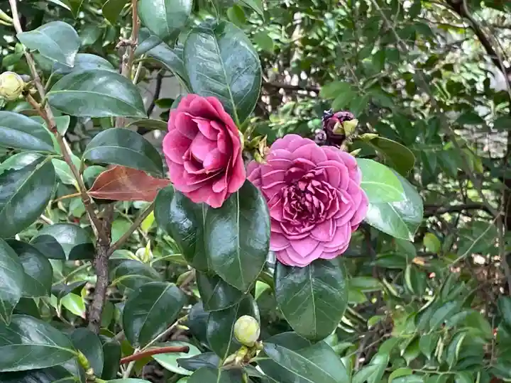 城南宮(京都府)