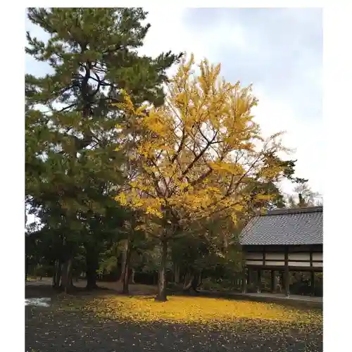 氣比神宮の自然