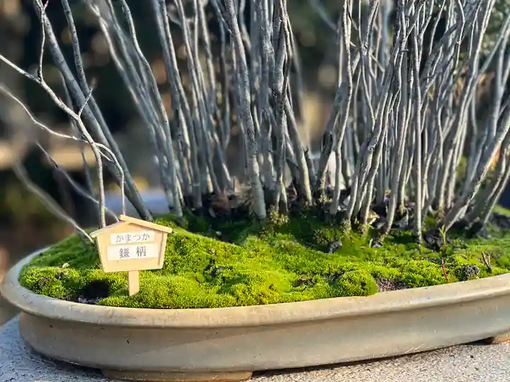 常泉寺(神奈川県)