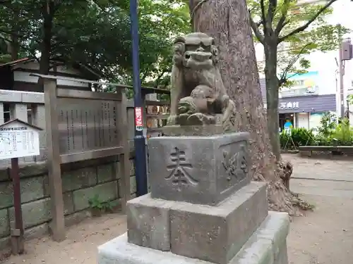 亀岡八幡宮（亀岡八幡神社）の狛犬