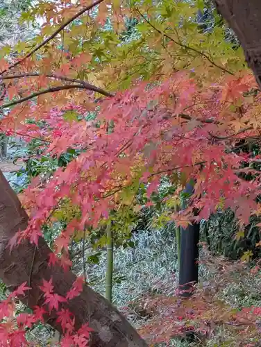 円覚寺(神奈川県)