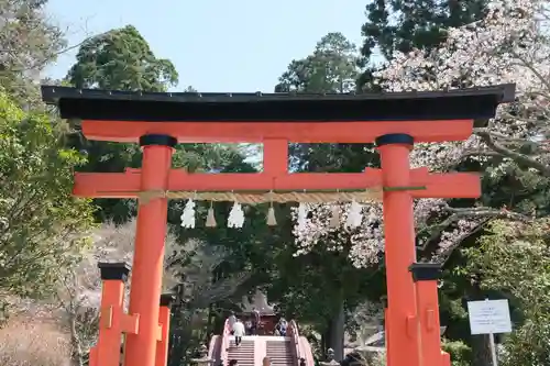 丹生都比売神社(和歌山県)