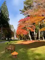 遠野郷八幡宮(岩手県)