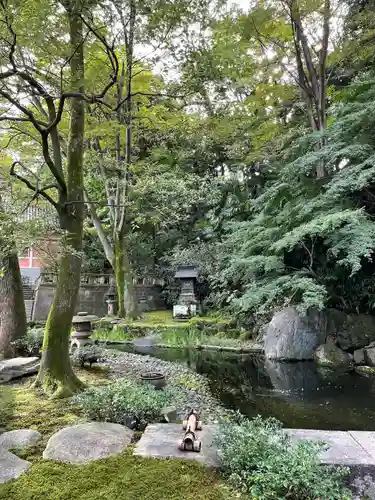 青松寺の庭園