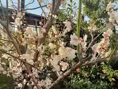 阿部野神社の自然