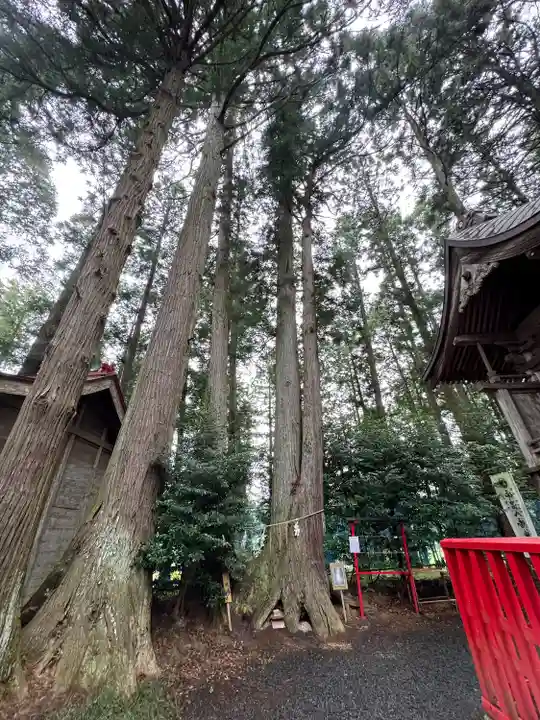 坪沼八幡神社(宮城県)