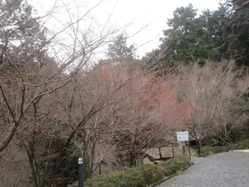 石山寺(滋賀県)