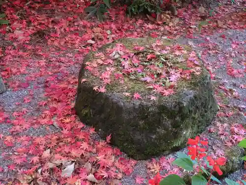 白根神社の建物その他