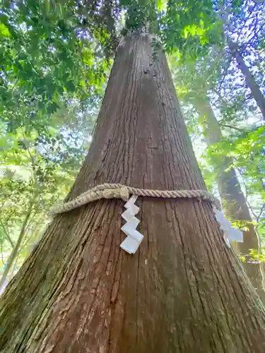 丹生川上神社（中社）(奈良県)