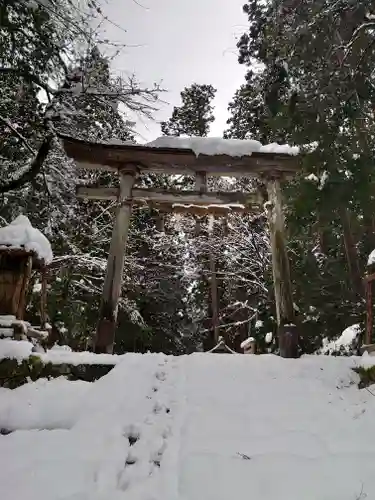 平泉寺白山神社の鳥居